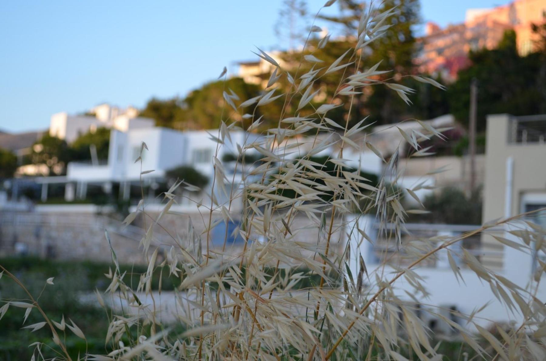 White Lotus Seaside Apartment Kini Exterior photo
